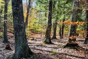 29&amp 31 White Brook Rd, Gilsum, NH 03448 - Photo 1