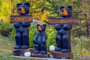 F33 Nordic Village Ln, Bartlett, NH 03812 - Photo 1