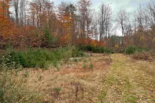 West St, Antrim, NH 03440 - Photo 1