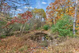 9 Winterberry Rd, Brookline, NH 03033 - Photo 1