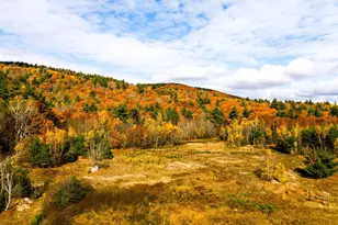 000 Willard Pond Rd, Hancock, NH 03449 - Photo 1