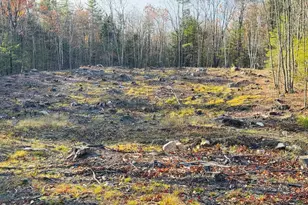 Lot 77 Homestead Ln, Barrington, NH 03825 - Photo 1