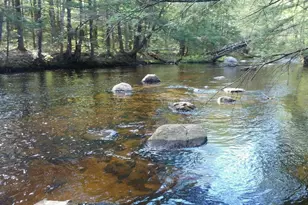 28 Beech River Cir, Ossipee, NH 03814 - Photo 1