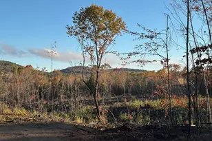 00 Thurley Rd, Ossipee, NH 03814 - Photo 1