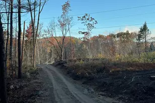 00 Thurley Rd, Ossipee, NH 03814 - Photo 1