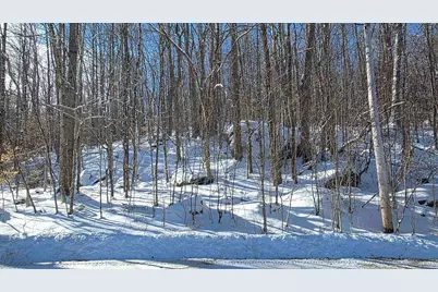 M111 L24&amp;25 Tigola Trail, Stoddard, NH 03464 - Photo 1