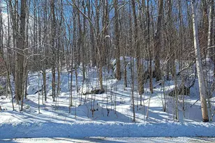 M111 L24&amp 25 Tigola Trail, Stoddard, NH 03464 - Photo 1