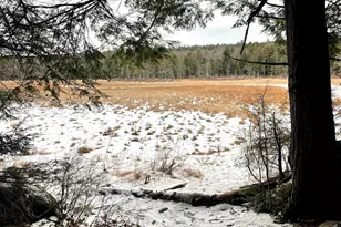 332 Gleason Falls Rd, Hillsboro, NH 03244 - Photo 1