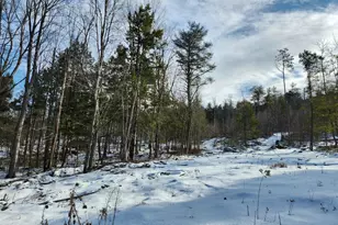 0 Munsey Rd, Gilmanton, NH 03237 - Photo 1