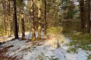 Map 9 Lot 87 Mary Rowe Dr, Hillsboro, NH 03244 - Photo 1