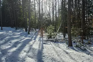 11 Cedar Dr, Gilmanton, NH 03237 - Photo 1
