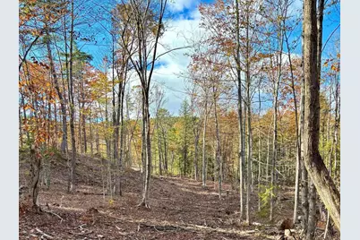 00 Fisher Road, Deering, NH 03244 - Photo 1