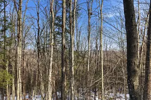 Tax Map5B Lot97 Nh Route 114, Henniker, NH 03242 - Photo 1