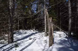 Lot 141 Presidential Dr, Washington, NH 03280 - Photo 1