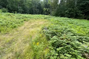 16 Ramblewood Dr, Newbury, NH 03255 - Photo 1