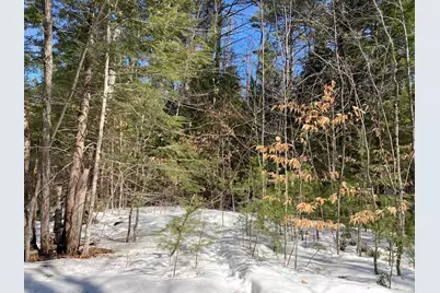 0 Henderson Road #Map 272/Lot 42, Conway, NH 03818 - Photo 1