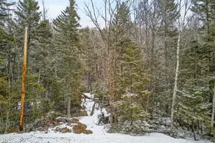 M10 L50 Ashuelot Dr, Washington, NH 03280 - Photo 1