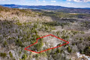 890 Washburn Rd, Alexandria, NH 03222 - Photo 1