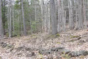 Lot 9 Roxbury Rd, Sanbornton, NH 03269 - Photo 1
