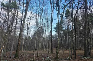 849 Cross Country Rd, Pembroke, NH 03275 - Photo 1