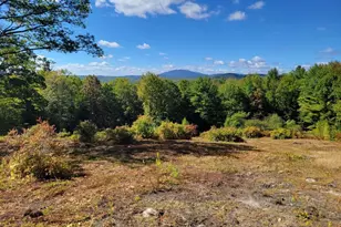 52 Duncan Rd, Hancock, NH 03449 - Photo 1