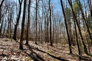 111 Page Rd, Bow, NH 03304 - Photo 1
