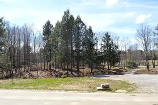 0 Thurber Rd, Unity, NH 03773 - Photo 1