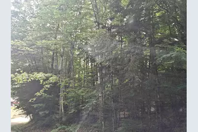 Lot 254 Kearsarge Drive, Haverhill, NH 03765 - Photo 1