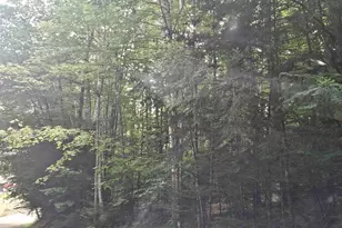 Lot 254 Kearsarge Dr, Haverhill, NH 03765 - Photo 1