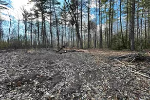 M10 L21-3 Sulphur Hill Rd, Hillsboro, NH 03244 - Photo 1