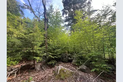 7199 Shaker Road, Loudon, NH 03307 - Photo 1