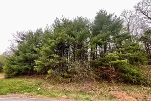 122 Pontiac Dr, Chesterfield, NH 03462 - Photo 1