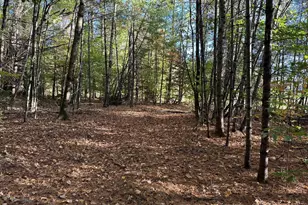 19 Sunrise Hill Rd, Thornton, NH 03285 - Photo 1