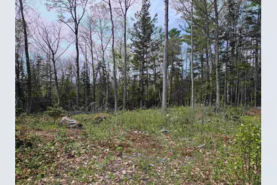 Lot 10.1 Wallace Hill Road, Franconia, NH 03580 - Photo 1
