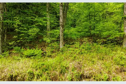 Lot 67 Camp Brook Road, Alstead, NH 03602 - Photo 1