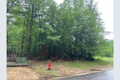 65 South Peak Road, Lincoln, NH 03251 - Photo 1
