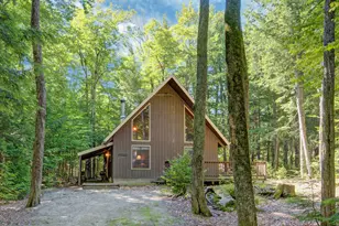 101 Eidelweiss Dr, Madison, NH 03849 - Photo 1