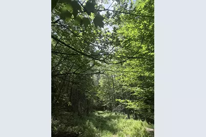 Whitcher Road, Newport, NH 03773 - Photo 1