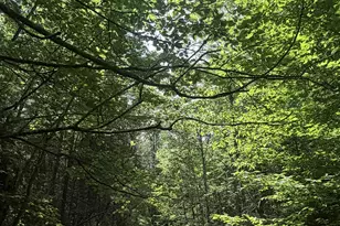 Whitcher Rd, Newport, NH 03773 - Photo 1