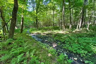 00 Mountain Rd, Bath, NH 03740 - Photo 1