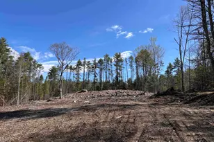 L:64 &amp 65 Old Turnpike Rd, Richmond, NH 03470 - Photo 1