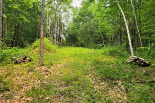 54 Fullam Pond Rd, Winchester, NH 03470 - Photo 1