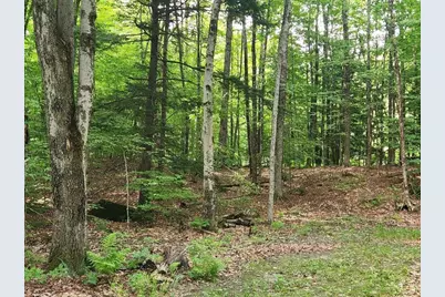 0 Beechwood Drive, Cornish, NH 03745 - Photo 1