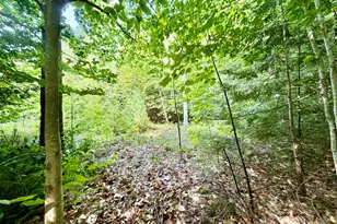 Lee Brook Rd, Thornton, NH 03223 - Photo 1