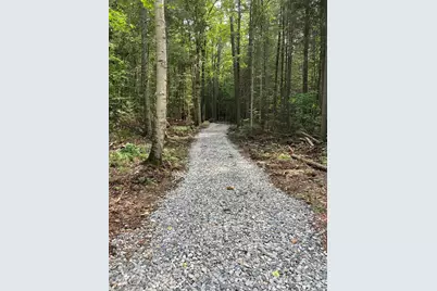 905 Nh Route 118, Groton, NH 03266 - Photo 1