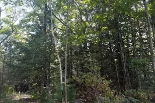 0 Currier Rd, Candia, NH 03034 - Photo 1