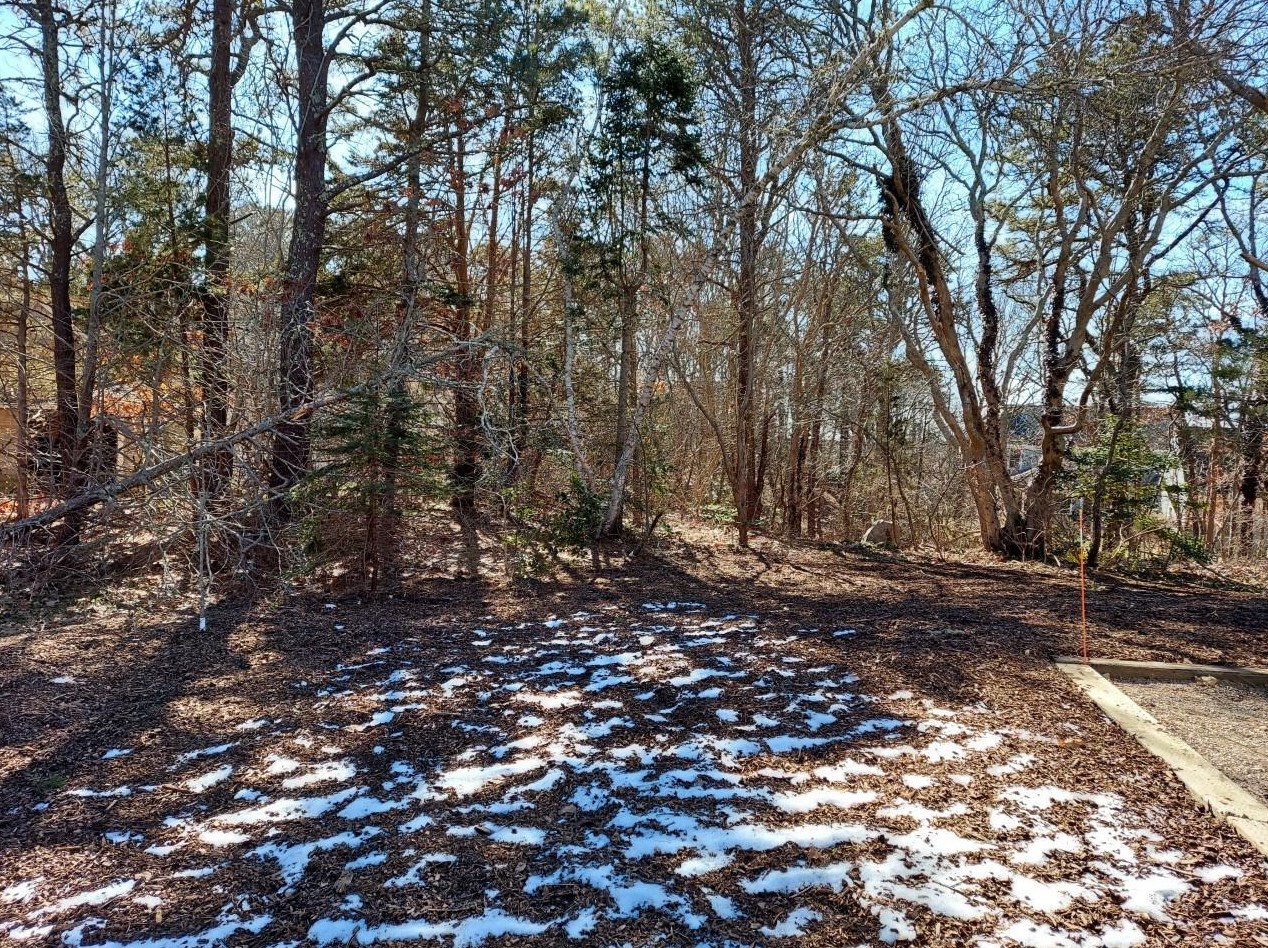 57 Black Ball Hl Rd, Dennis MA 02638-2239 exterior