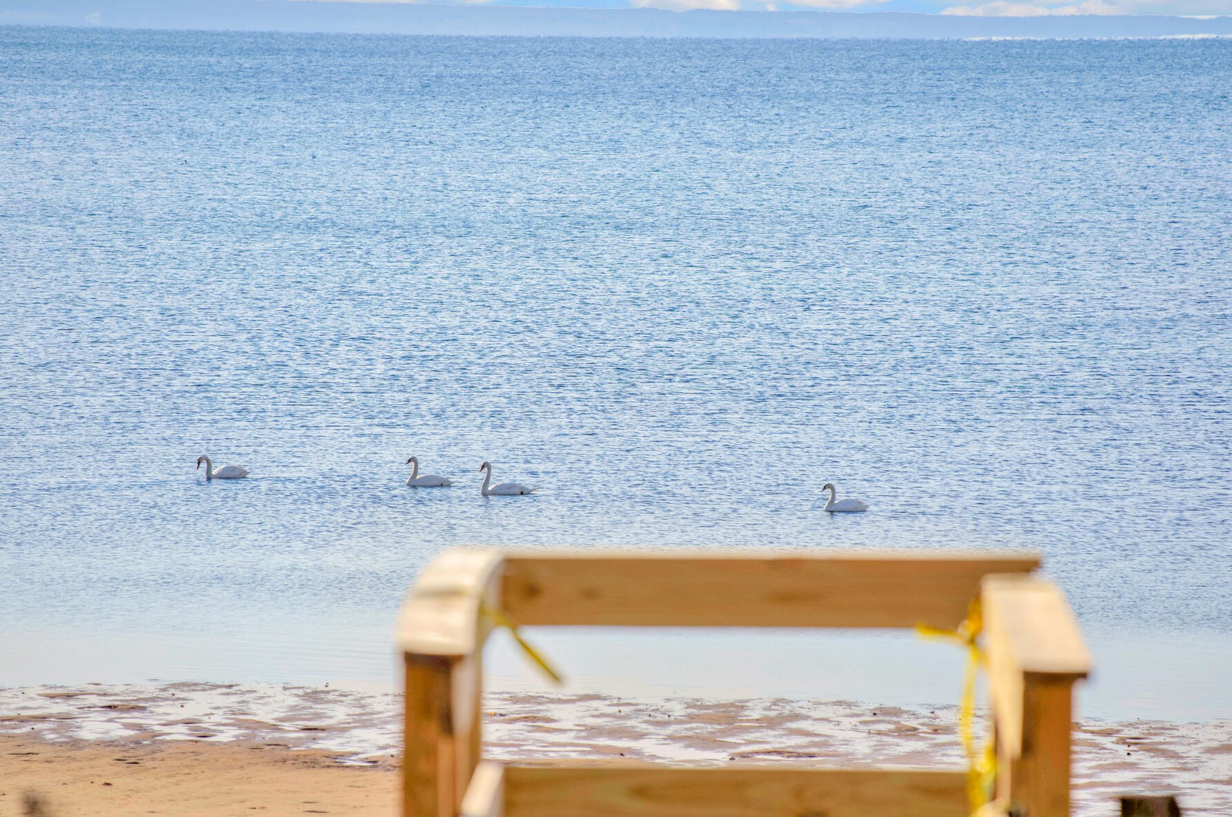 480 Commercial St, Provincetown MA 02657-1912 exterior