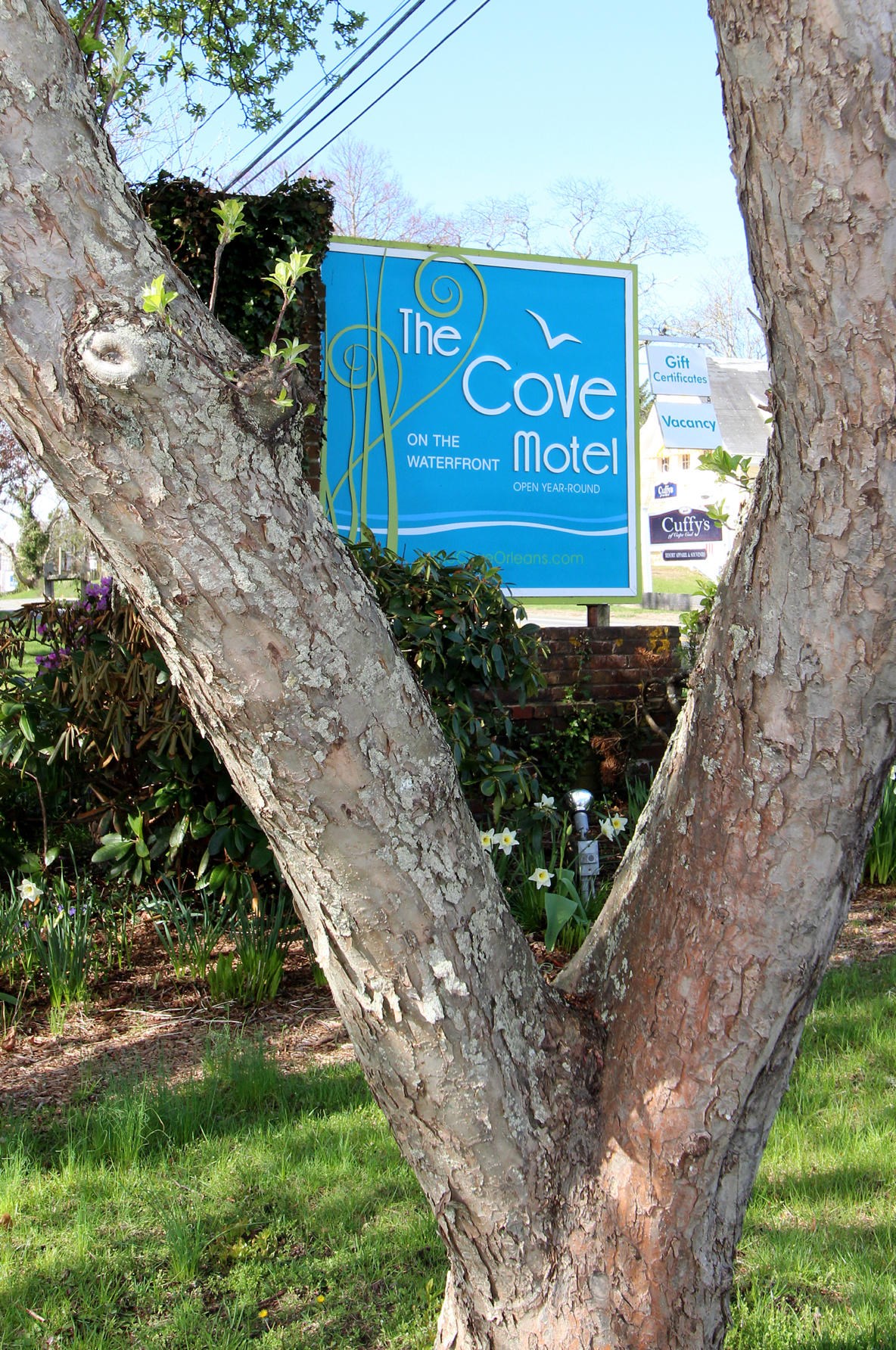 13 Orleans Rd, Orleans MA 02653-4012 exterior