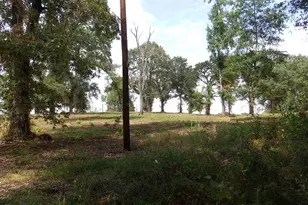 16393 W Hwy 31 Lot-4, Tyler, TX 75709 - Photo 13